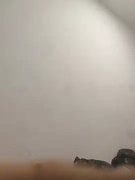 Sala de chat en directo de CilePile89