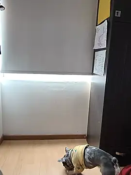 bigbooty-30n Live chat-huone