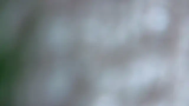 hornyjoy Cameră chat live