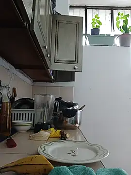 חדר צ'אט בשידור חי של EllisW8