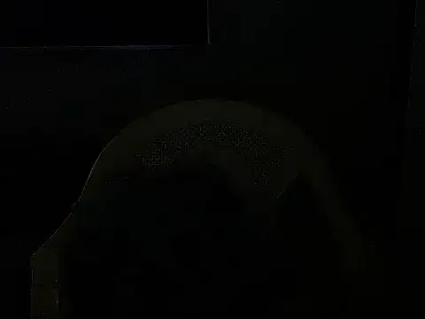 sunnylovexp's Live Chat Room