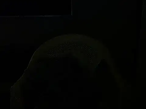 Živá chatovací místnost sunnylovexp