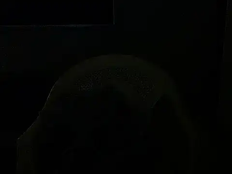 sunnylovexp 现场聊天室