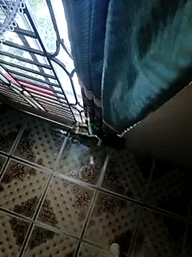 Dil-Ka-Radhika Adlı Modelin Canlı Sohbet Odası