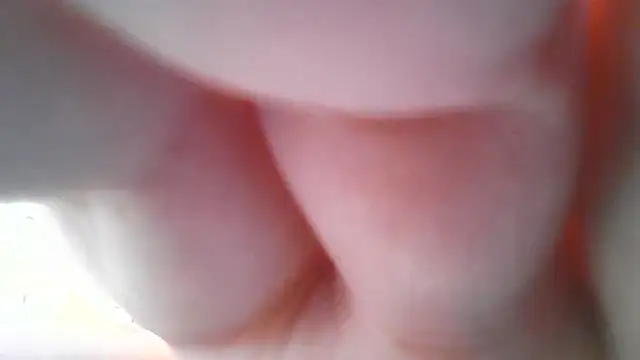 Elizabeth_Meow: онлайн-чат