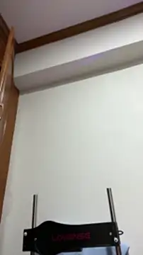 NoirElysia 실시간 채팅방