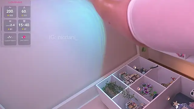 nicdani_1 실시간 채팅방