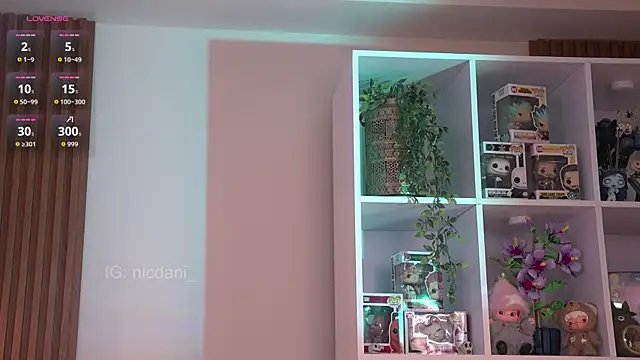 nicdani_1 现场聊天室