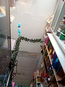 Mia_Novikov чат на живо