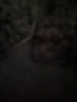 keilelewis Live Chatrum