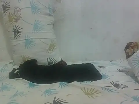 Bbyblackt – live chatrum