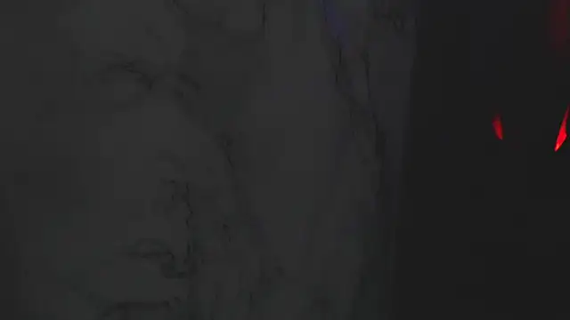 Ellysse_ Cameră chat live