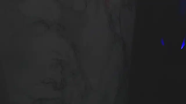 חדר צ'אט בשידור חי של Ellysse_