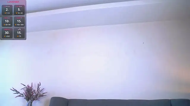 Živá chatovací místnost Erectioneering