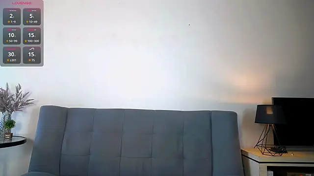 Sala de chat en directo de Erectioneering