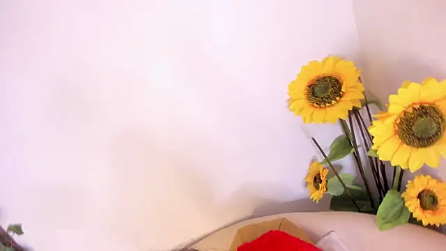 Živá chatovací místnost LexiieGrey
