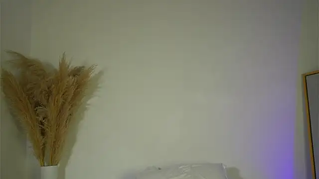 Chat ao vivo de sowfit