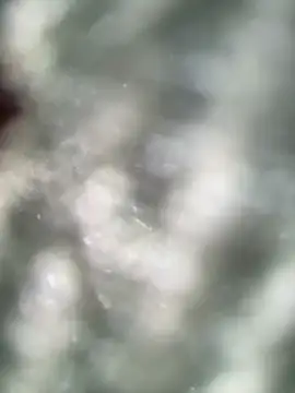 NewLale Cameră chat live