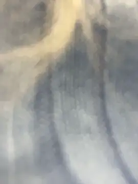 Chat ao vivo de MerlinDave