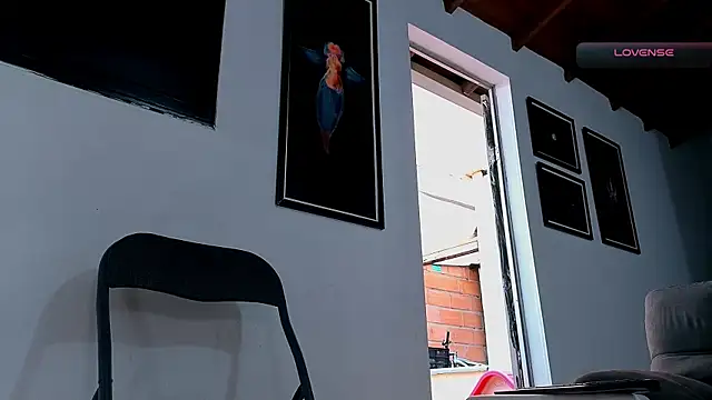 Bilik Sembang Langsung SilvaBranko