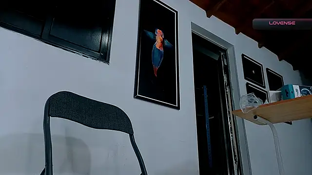 SilvaBranko 现场聊天室