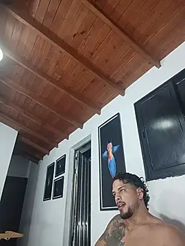 Sala de chat en directo de SilvaBranko