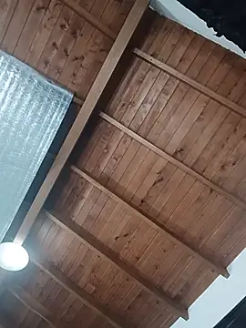 SilvaBranko Adlı Modelin Canlı Sohbet Odası