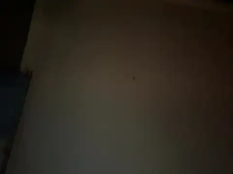czruz Live Chatrum