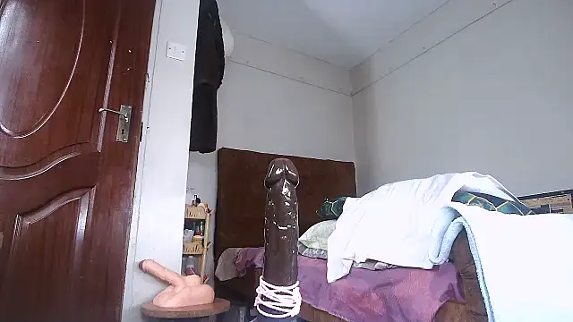 shoshortyy 现场聊天室