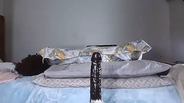 shoshortyy 실시간 채팅방