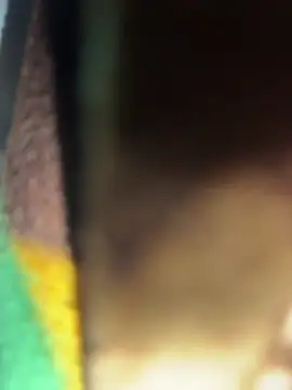 Bilik Sembang Langsung Ishikaranaa