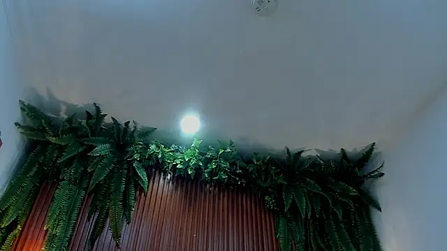Chat ao vivo de alice_greco
