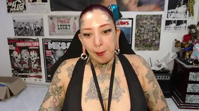 Rollyderolandia666 – live chatrum