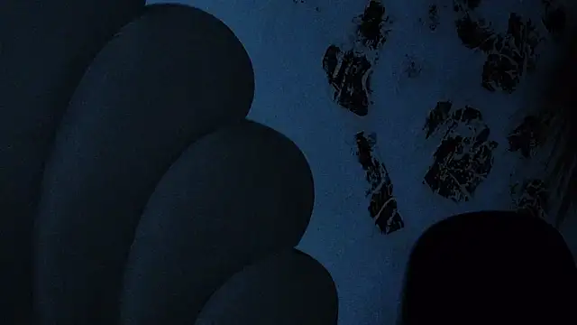 חדר צ' אט בשידור חי של bonieklent
