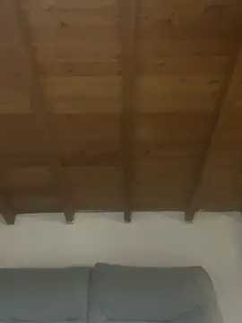sarah_salis_  чат на живо