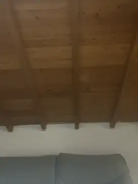 sarah_salis_ Live Chatraum