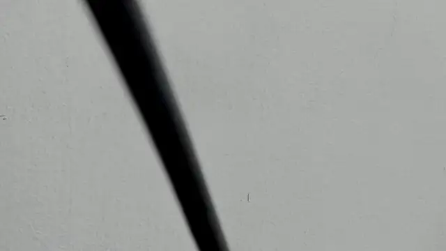 Živá chatovací místnost Agathaargent_