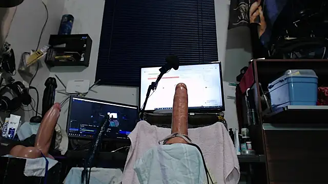 flex_cam Show Webcam