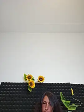 Sala de chat ao vivo de Stefania_PT