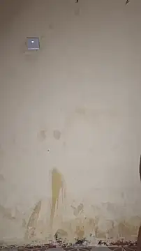 חדר צ'אט בשידור חי של Perqueen