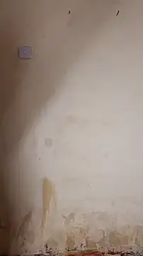 Perqueen Cameră chat live