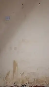 Živá chatovací místnost Perqueen