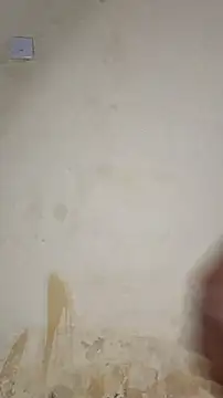 Sala de chat en directo de Perqueen