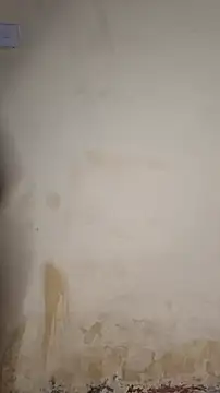 Sala de chat en directo de Perqueen