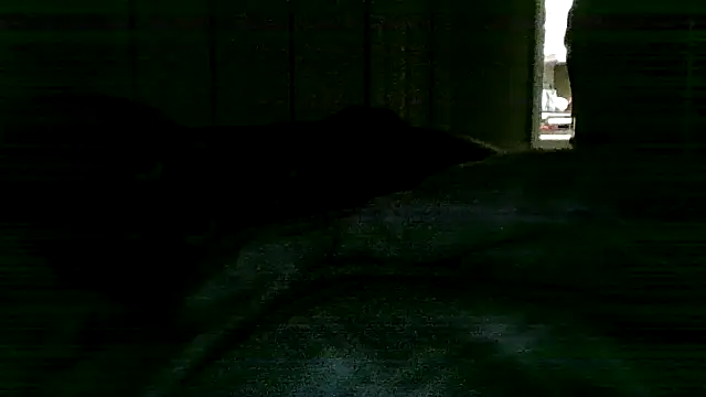 Toofat4you Live Chatraum