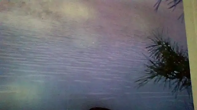 Sala de chat ao vivo de AliceTailor