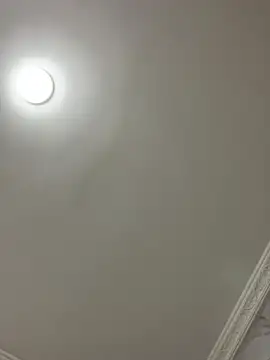 Kimmymadison- Adlı Modelin Canlı Sohbet Odası