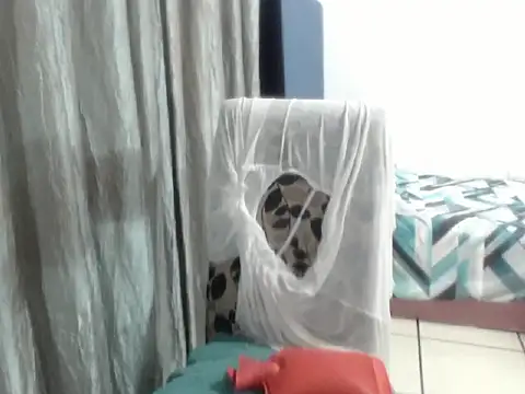 BadassQueenx2n Live chat-huone