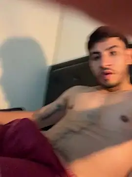 Leonthick Show Webcam