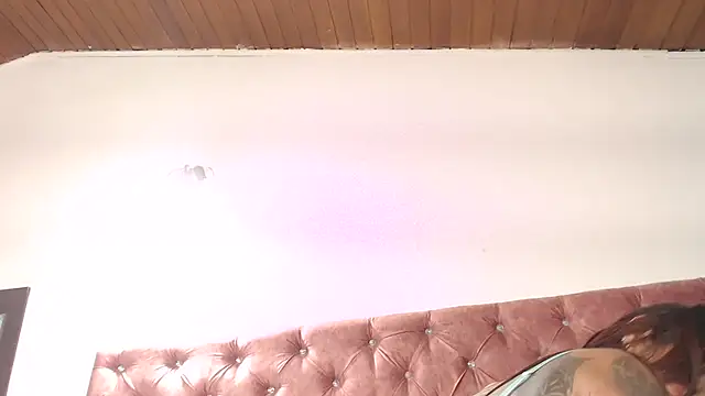 SsofiCollins 실시간 채팅방